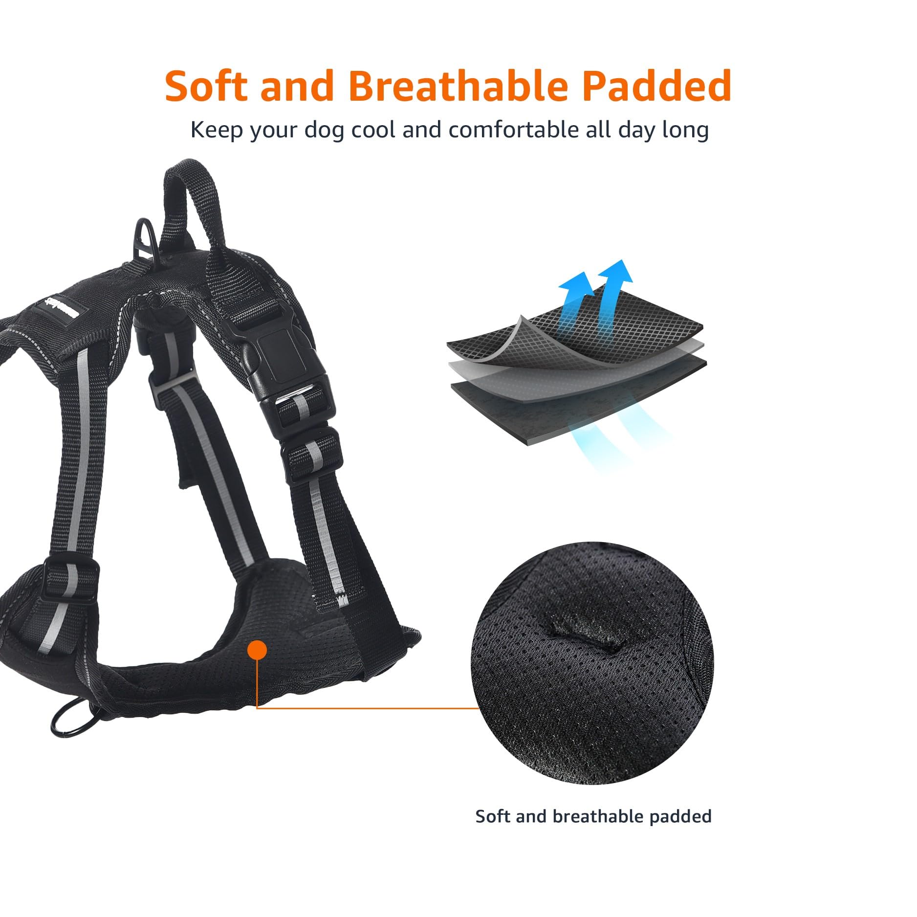 https://m.media-amazon.com/images/I/71h0gKb0STL.jpg