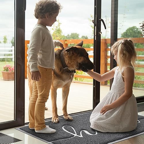 Miniatura 80 de BeneathYourFeet - Tapete de bienvenida de bajo relieve, de puerta delantera, interior y exterior, alfombras antideslizantes para entrada, patio