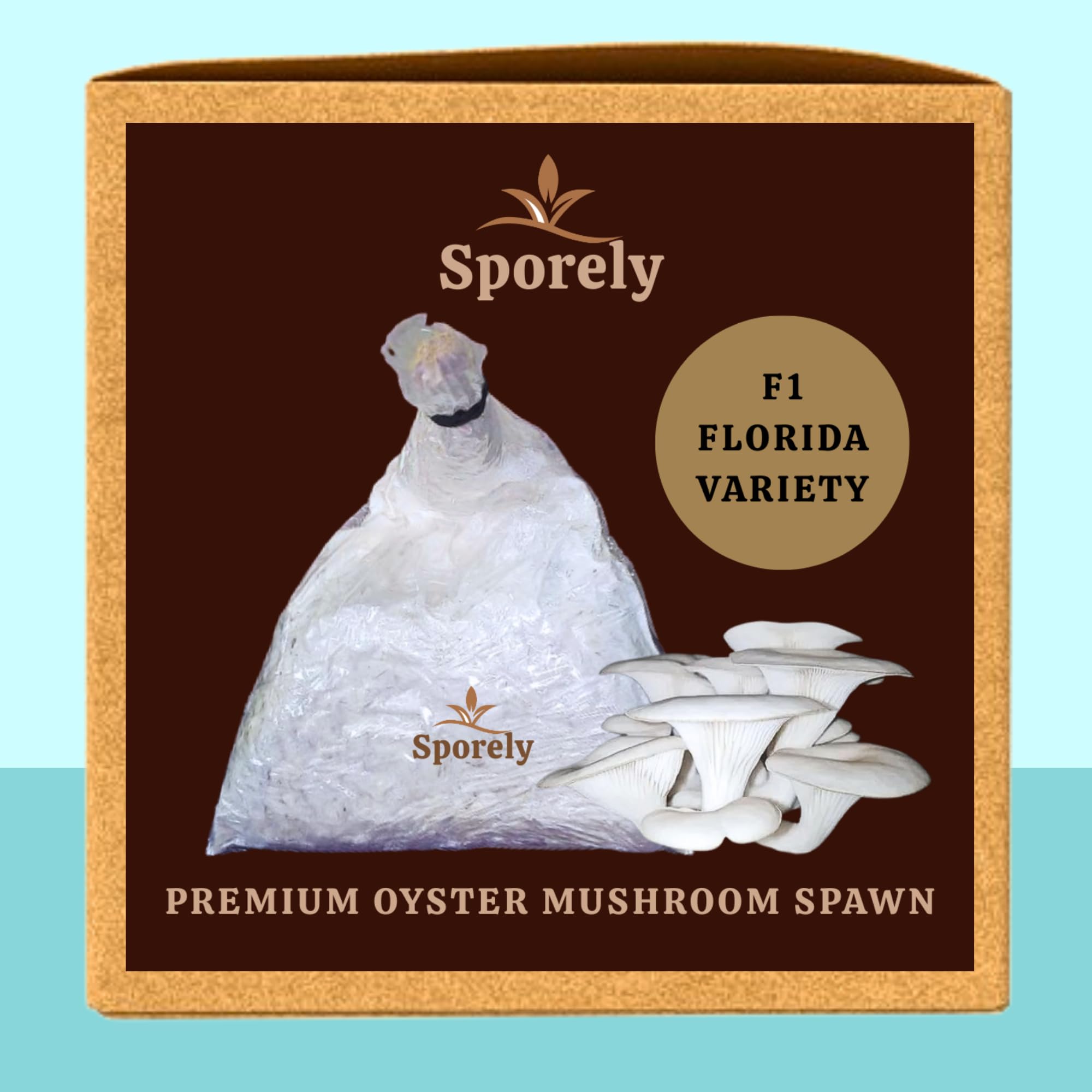 White Florida Variety Oyster Mushroom Spawn/Seed Growing Kit (200gm + 2 PP Bags + Instruction) F1 First Generation Edible High Yield Big Size Big Petal Oyster Mushroom Spawn/Seed for Mushroom Farming-image-22