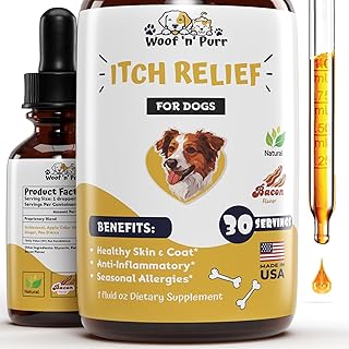 Natural Itch Relief for Dogs