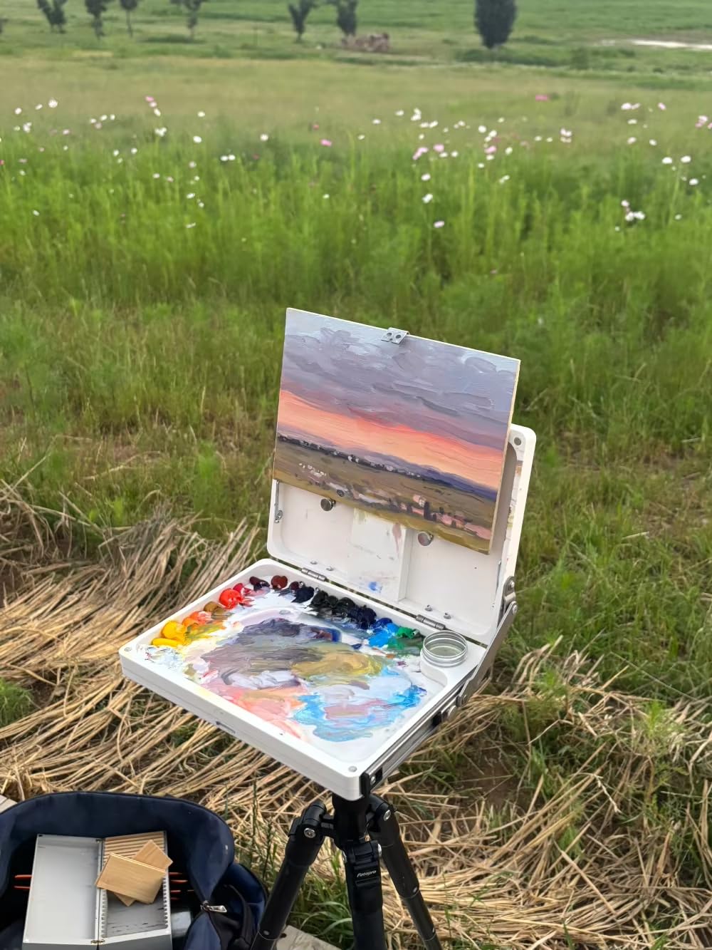 Caja de Bocetos para Pintura al Óleo, Caballete de Escritorio Plegable, con Recipiente para Óleo Incorporado, Abrazadera para Lienzos de hasta 50 CM
