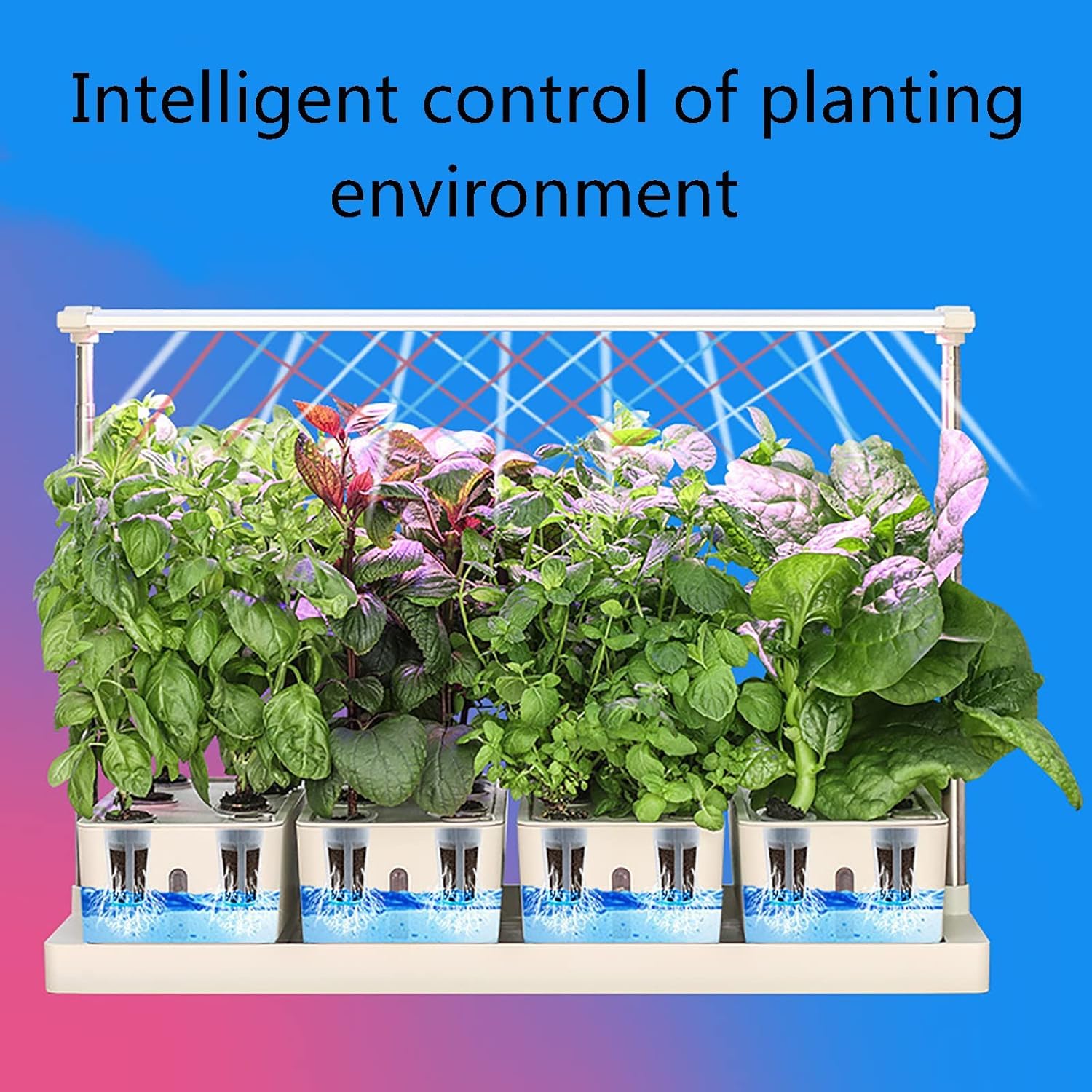 Giardino idroponico per erbe aromatiche da interni, con timer 20 ore, supporto per luce regolabile da 75 cm, design con ingresso dell'acqua per sistema di coltivazione intelligente