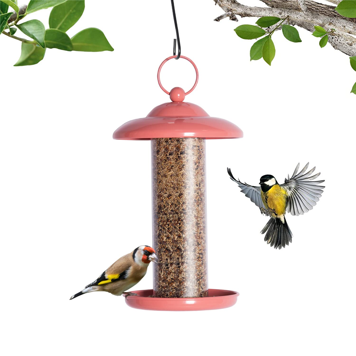 Mangiatoia per Uccelli da Esterno da Appendere, mangiatoia per Uccelli a Prova di Scoiattolo e Cortile Decorativo da Giardino per osservatori di Uccelli