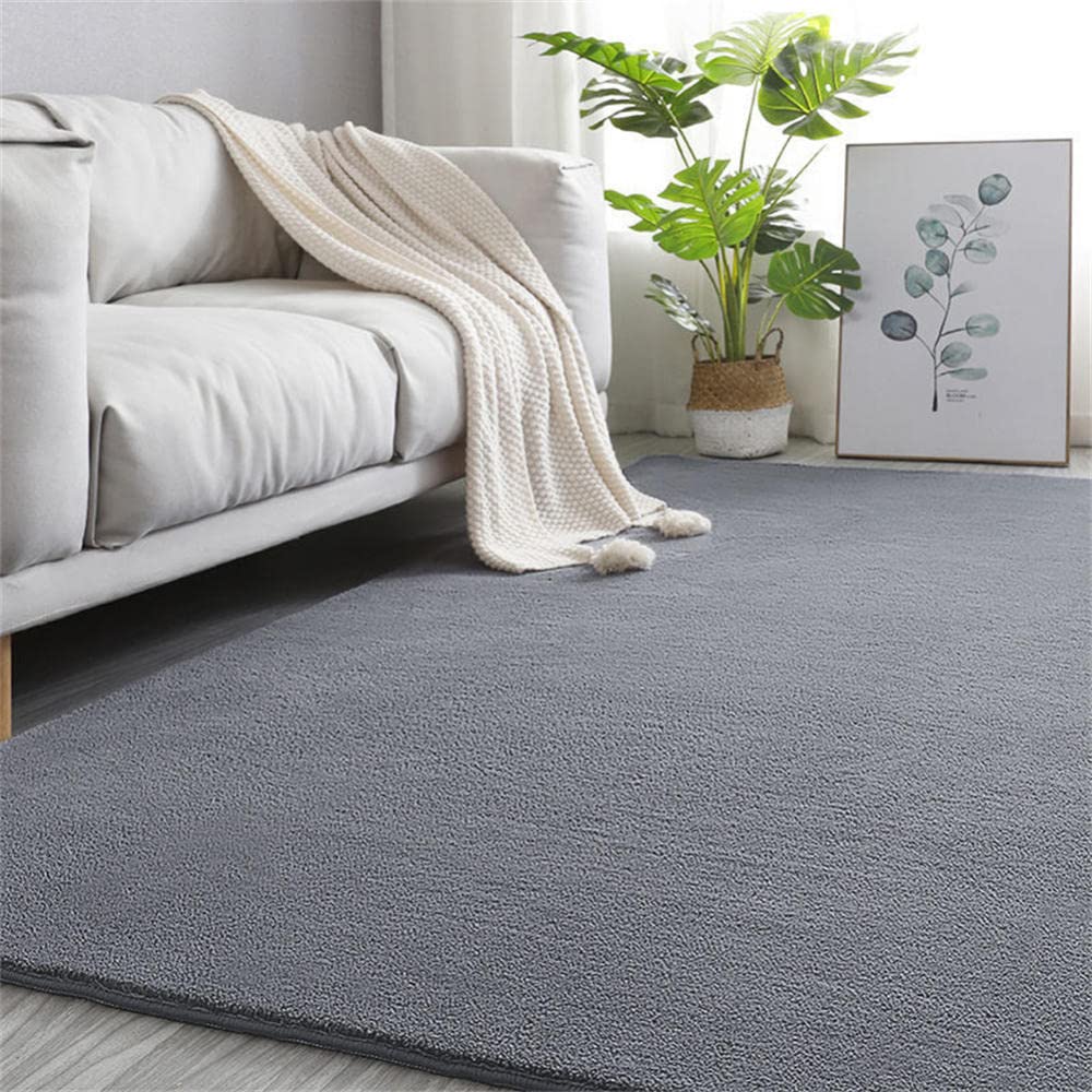 Tapis salon moderne doux poils courts grand format
