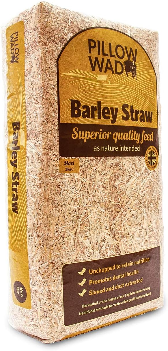 Maxi Barley Straw, 3 Kg, Pack of 3