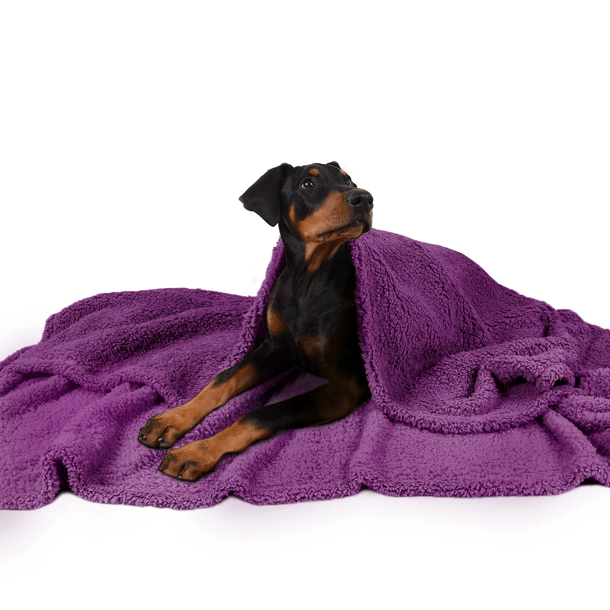 Pawsee Dog Fleece Blanket, Large Washable Soft Warm Fluffy Sherpa Plush Pet Blankets for Dogs Puppy Doggy Cats Double Thickness Throws 152 x 127 cm Purple