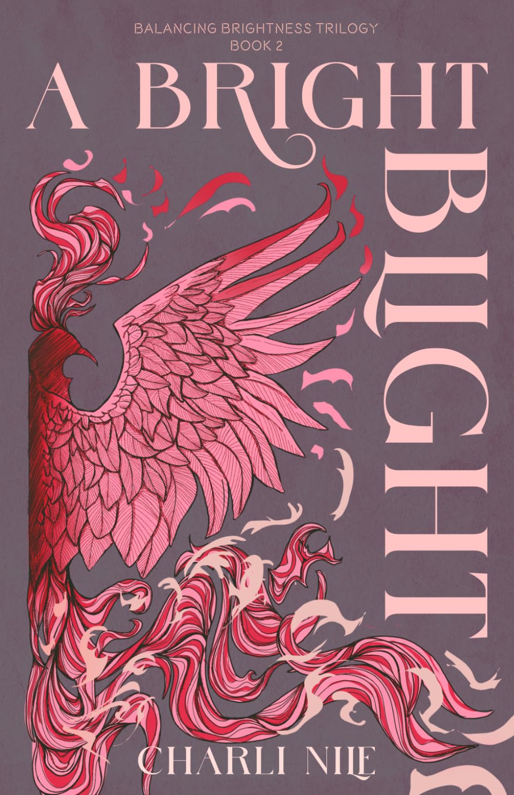 A Bright Blight: 2 (The Balancing Brightness Trilogy)