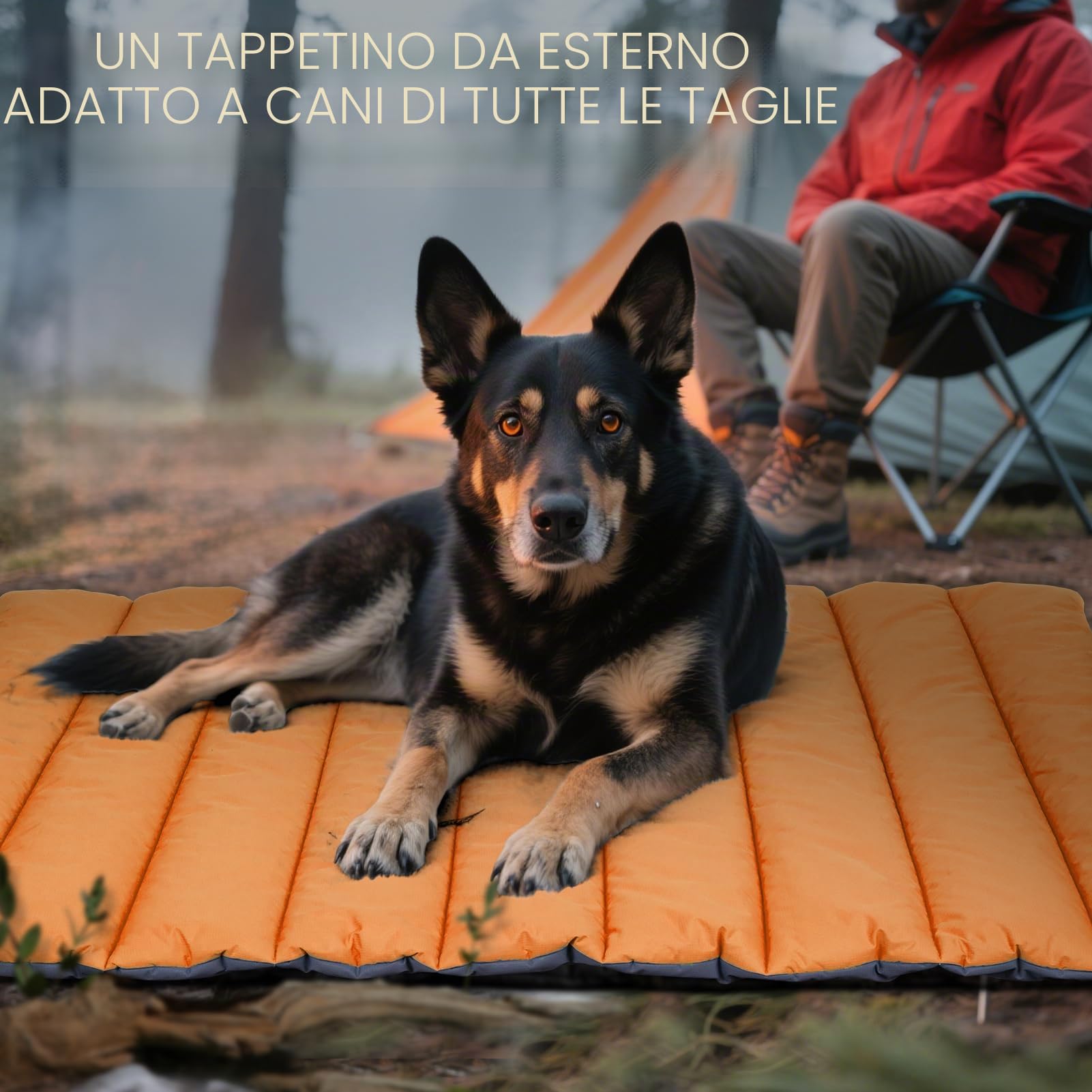 XIAPIA Cuccia Cane per Interno e Esterno, Cuscino Cane Grande, Cuscino Impermeabile per Cani, Letto Brandina per Cani in Resistente, Pieghevole