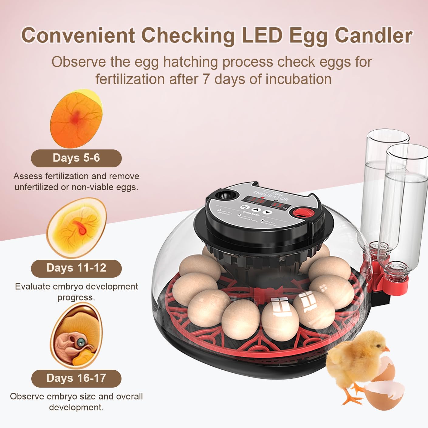 Incubadora Huevos Gallina ncubadora Automática de 12-24 Huevos | con Volteo Automático de Huevos y Humidificación Automática,Control de Temperatura,Incubadora para Huevos de Gallina,Codorniz