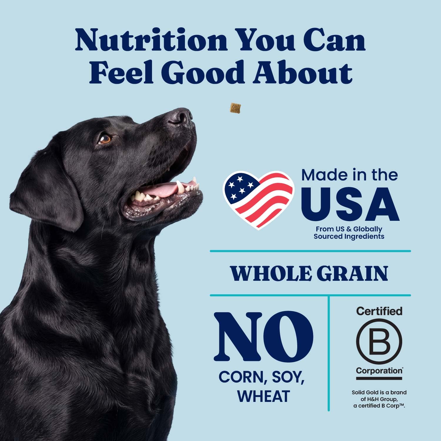 Amazon.com: Solid Gold Healthy Weight Management Dry Dog Food for