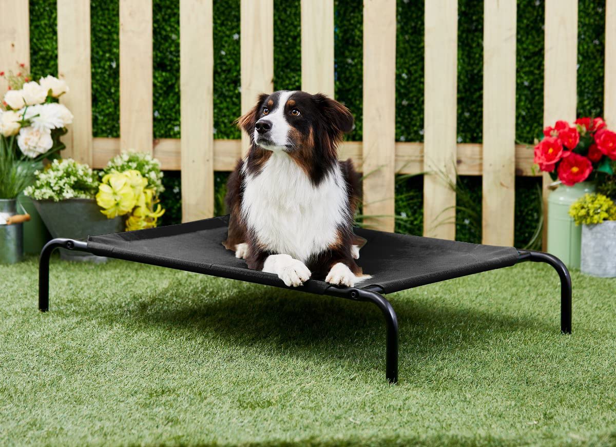 Furrlovers Elevated Raised Waterproof Summer Winter Cotton Canvas Indoor Outdoor Dog Cat Pet Bed (47x25x7.5 inches), (Cotton Canvas) - (BED 38X25 - Black) (B0D56HBGQ6) Amazon Price History, Amazon Price Tracker
