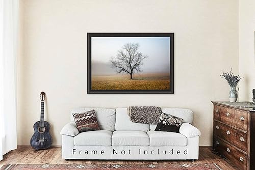 Miniatura 9 de Nature Photography Print (Not Framed) Picture of Tree Shrouded in Fog on Autumn Morning in Great Smoky Mountains Tennessee Appalachian Wall Art