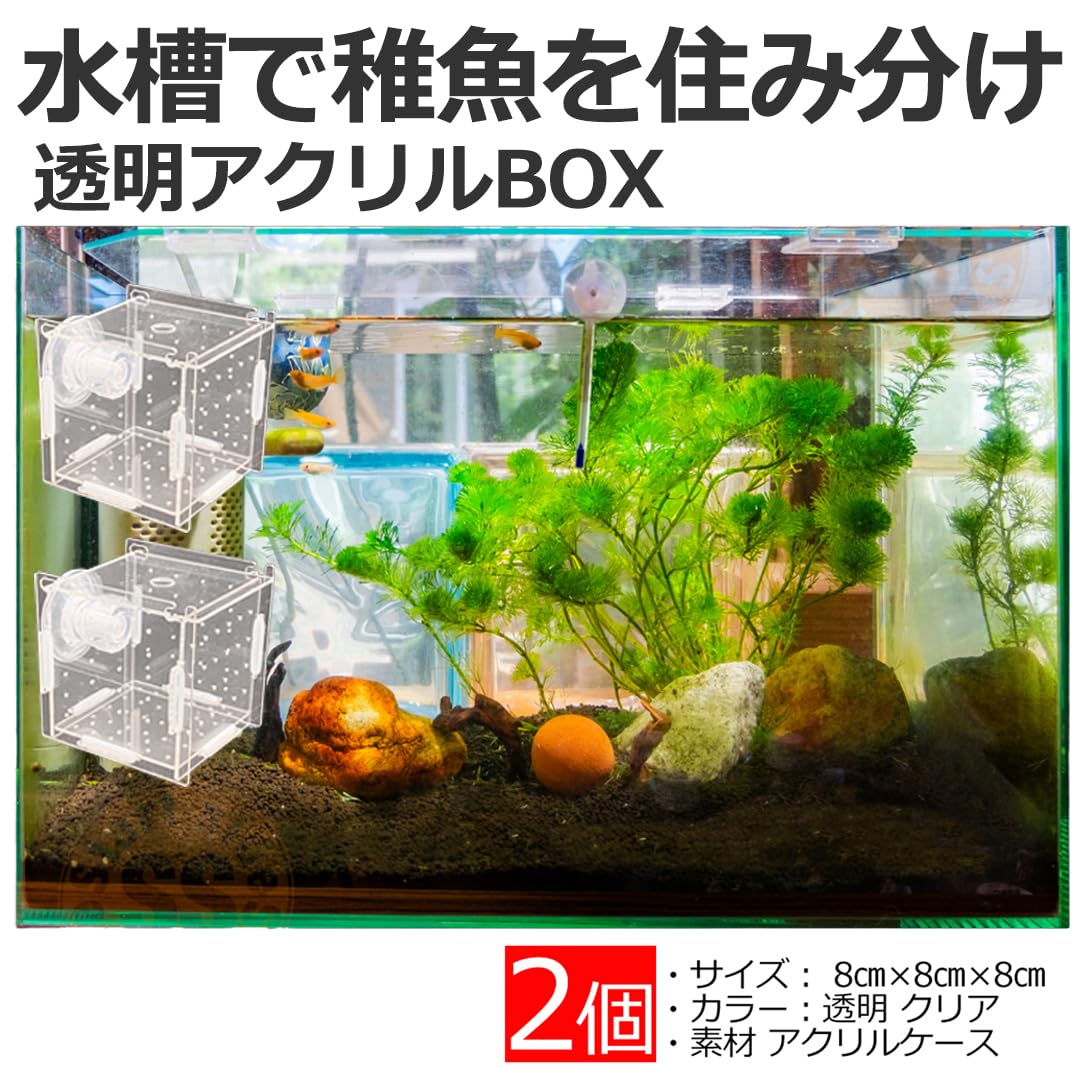 Amazon | スタートサイド 稚魚 水槽内用 繁殖隔離ボックス 隔離吸盤