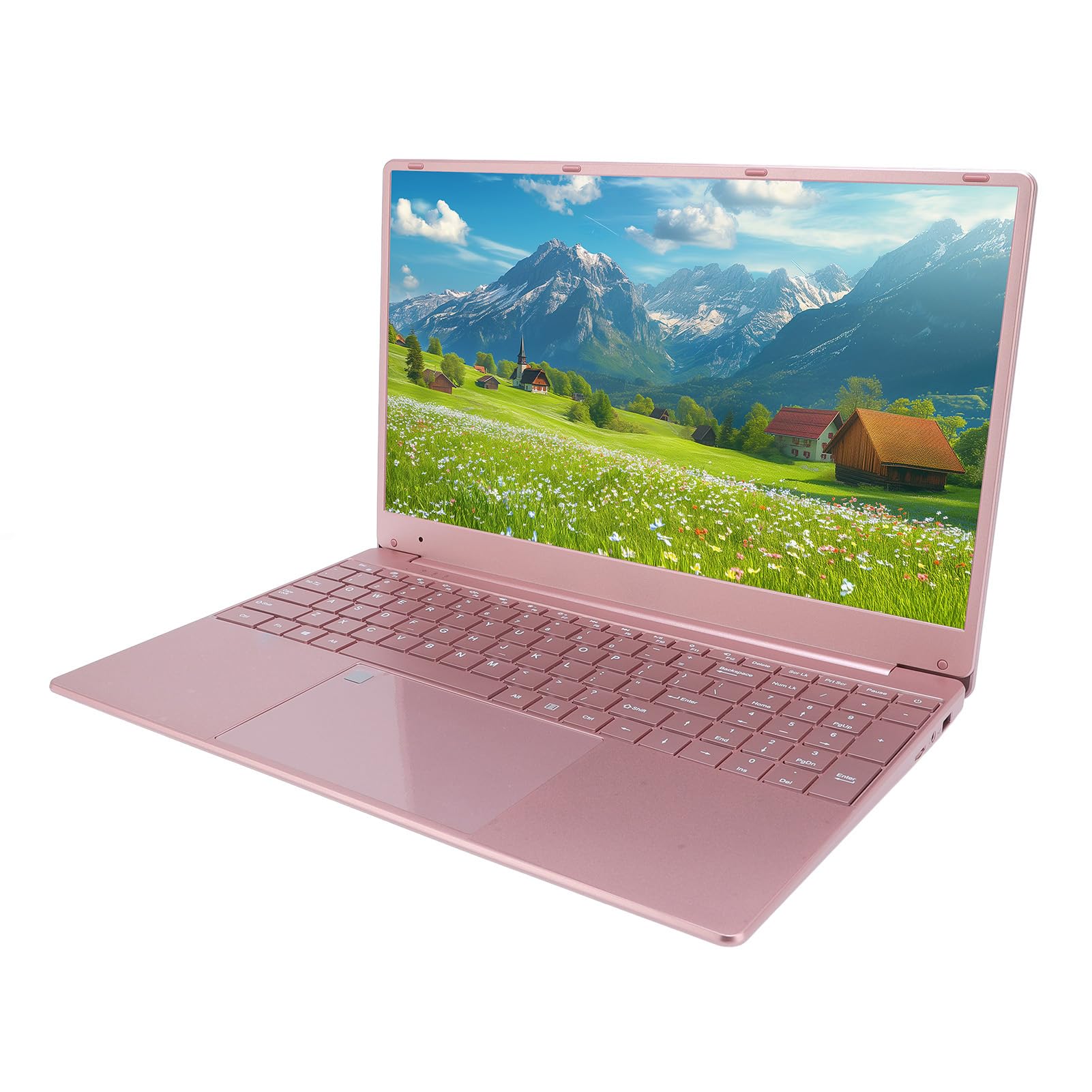 15.6 Inch Laptop, 1920x1080 Screen, N5095A CPU, 8GB RAM, 256GB SSD, 11 Pro, Fingerprint Unlock, Pink GB Plug Pink