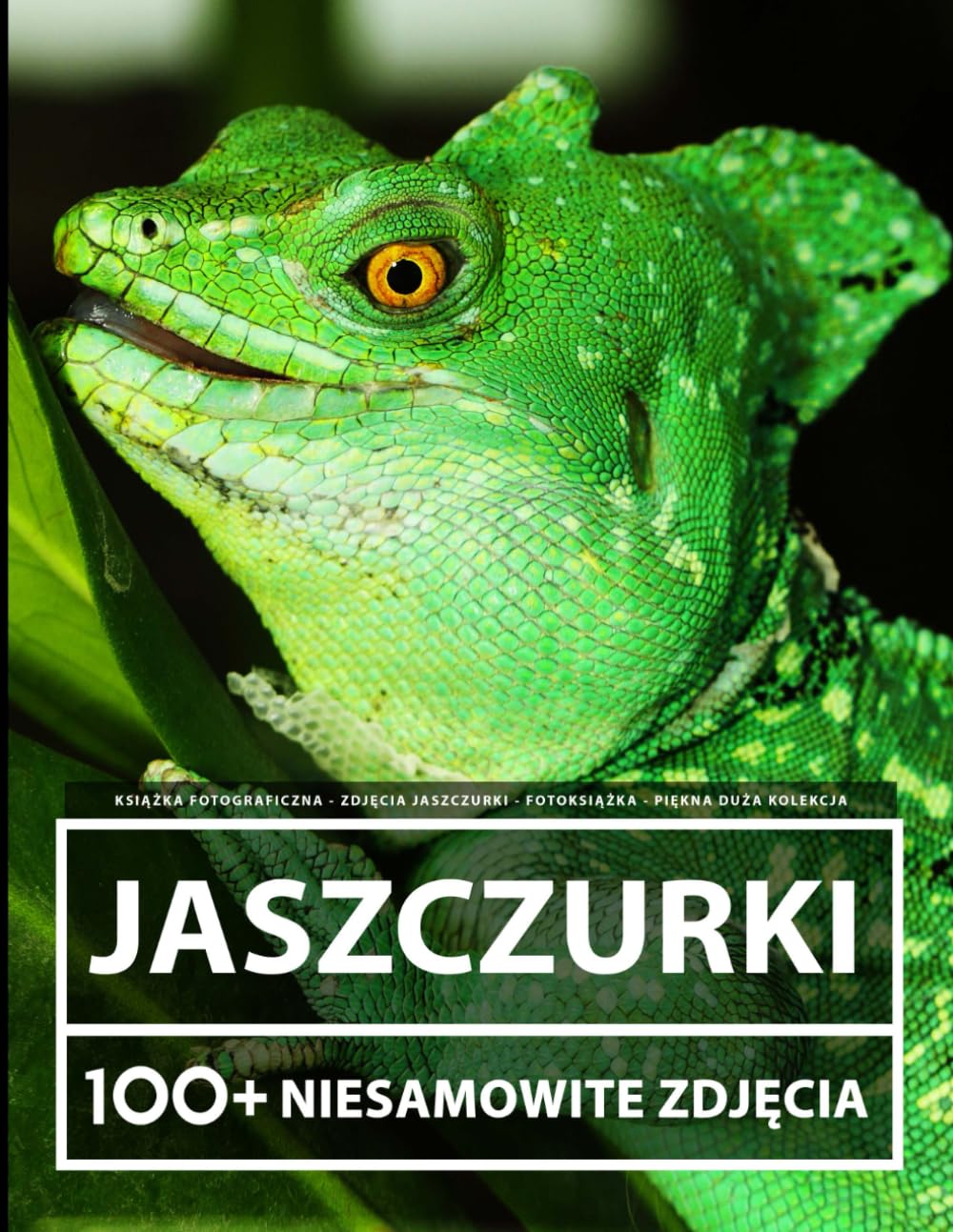 Książka Fotograficzna - Zdjęcia Jaszczurki - Fotoksiążka - Piękna Duża Kolekcja - 100+ Niesamowitych Obrazów - Dla Dzieci I Dorosłych