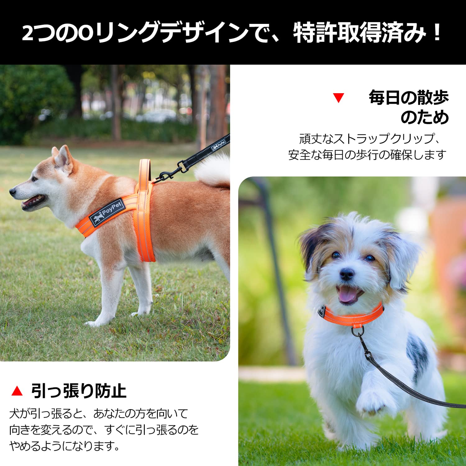 Amazon | PoyPet 犬ハーネス 犬喉に優しい 軽量 負担ない 犬用胴輪