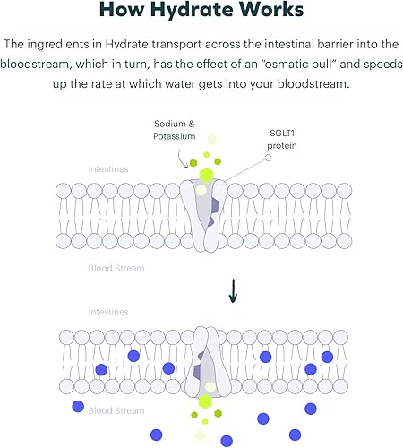 Miniatura 3 de Cheers Classic Combo  Restaurar e hidratar  Siéntase bien y rehidrate después de beber  Suplemento de dihidromicetina (DHM) y solución de