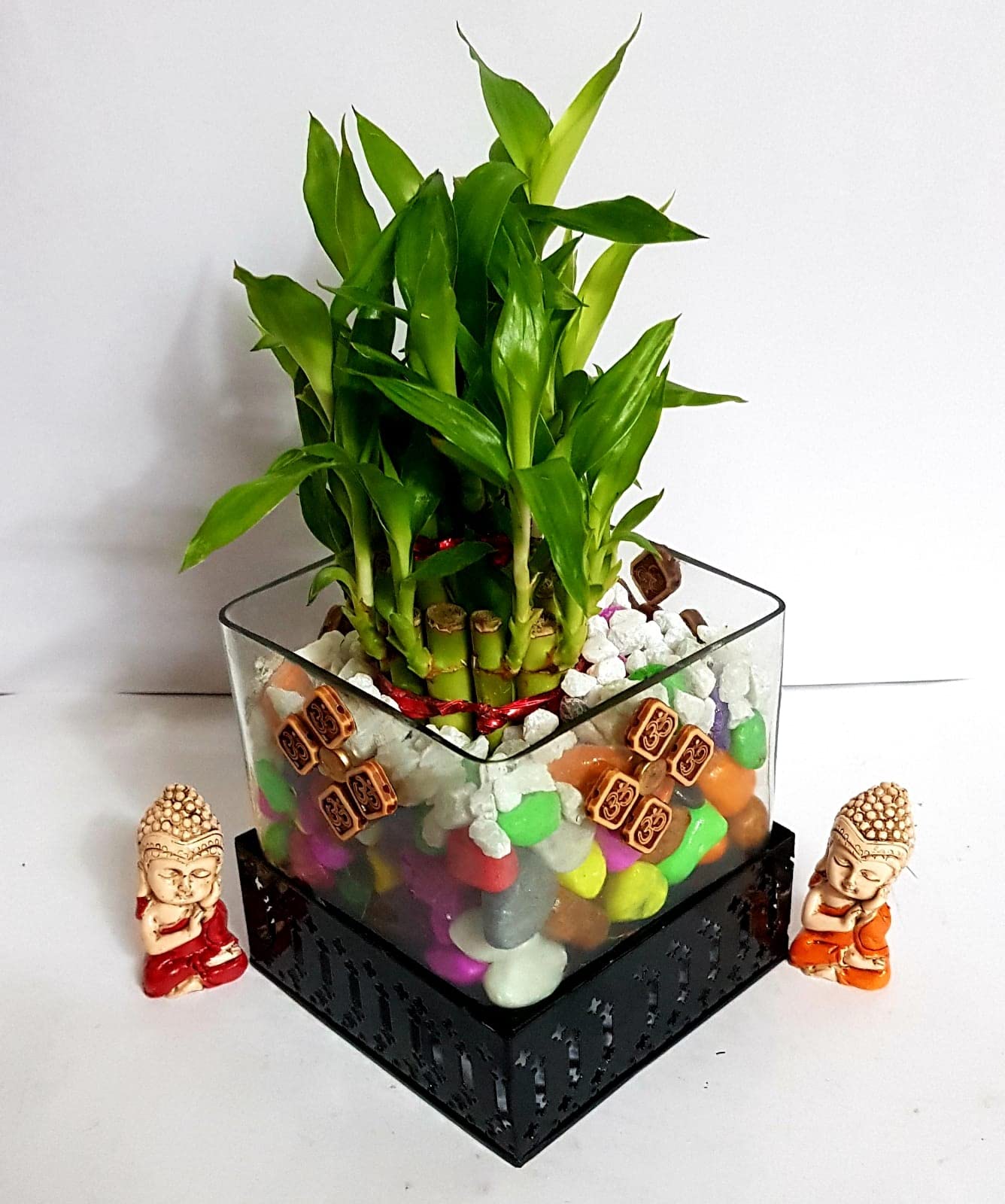 R.R.V. INTERNATIONAL Lucky Bamboo Plant with Transparent Glass Vase & Metal Stand for Indoor | Home Decor Live Plant for Living Room (B0BS9J2H58) Amazon Price History, Amazon Price Tracker