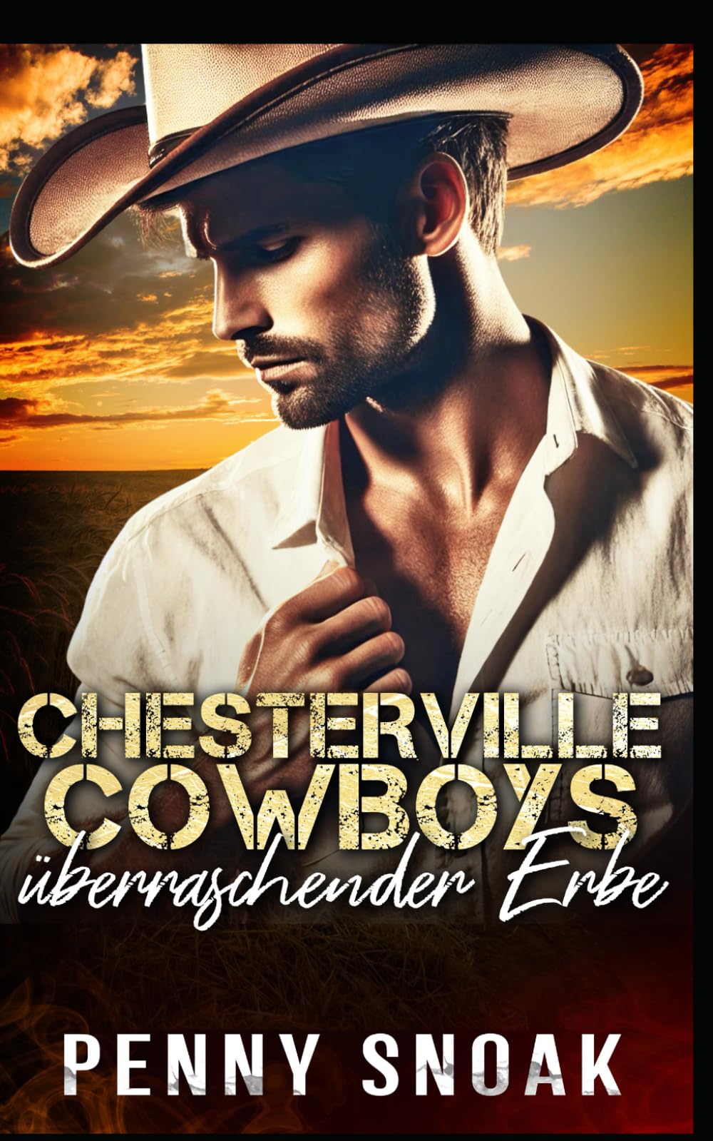 Chesterville Cowboys überraschender Erbe: zeitgenössischer Liebesroman: 8 (Chesterville-Reihe: Verbotene Geheimnisse)
