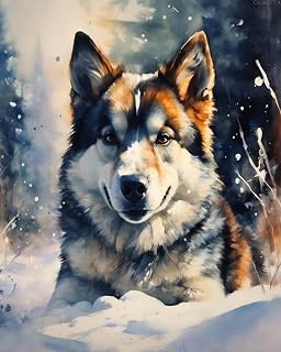 OKSGYTA Paint by Numbers Siberian Husky Dog Animal Painting by Number for Adults DIY Digital Painting for Beginners Wall Decor Drawing Gift 16x20 Inch No Frame