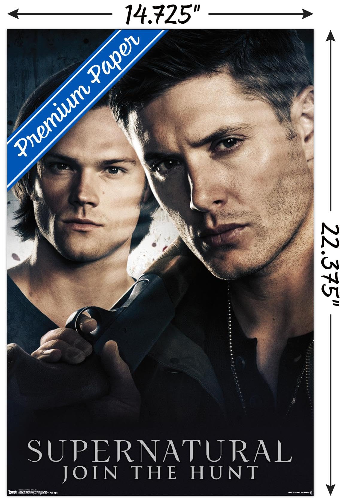 Amazon.com: Trends International Supernatural - Brothers