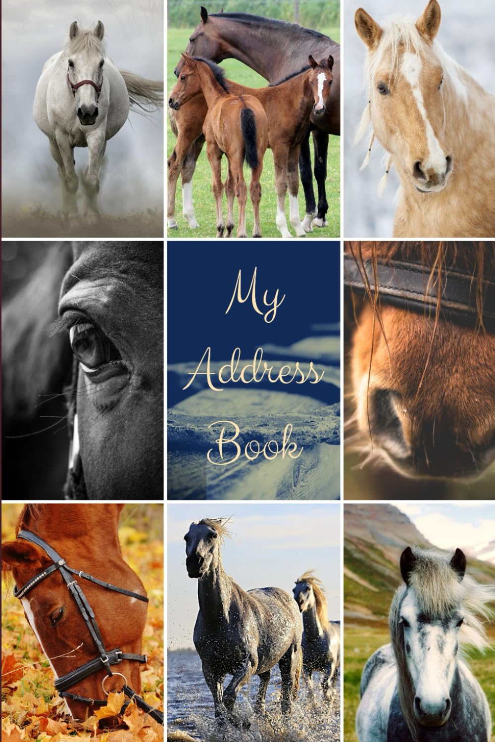 My Address Book: Horse Cover | Address Book for Names, Addresses, Phone Numbers, E-mails and Birthdays