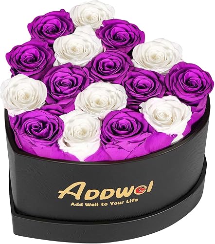 Miniatura 16 de ADDWel 24 Ramo de Rosas Rojas Reales Preservadas Flores de Larga Duración para Ella y Regalos Románticos para Esposa Novia, Dos Docenas de Rosas