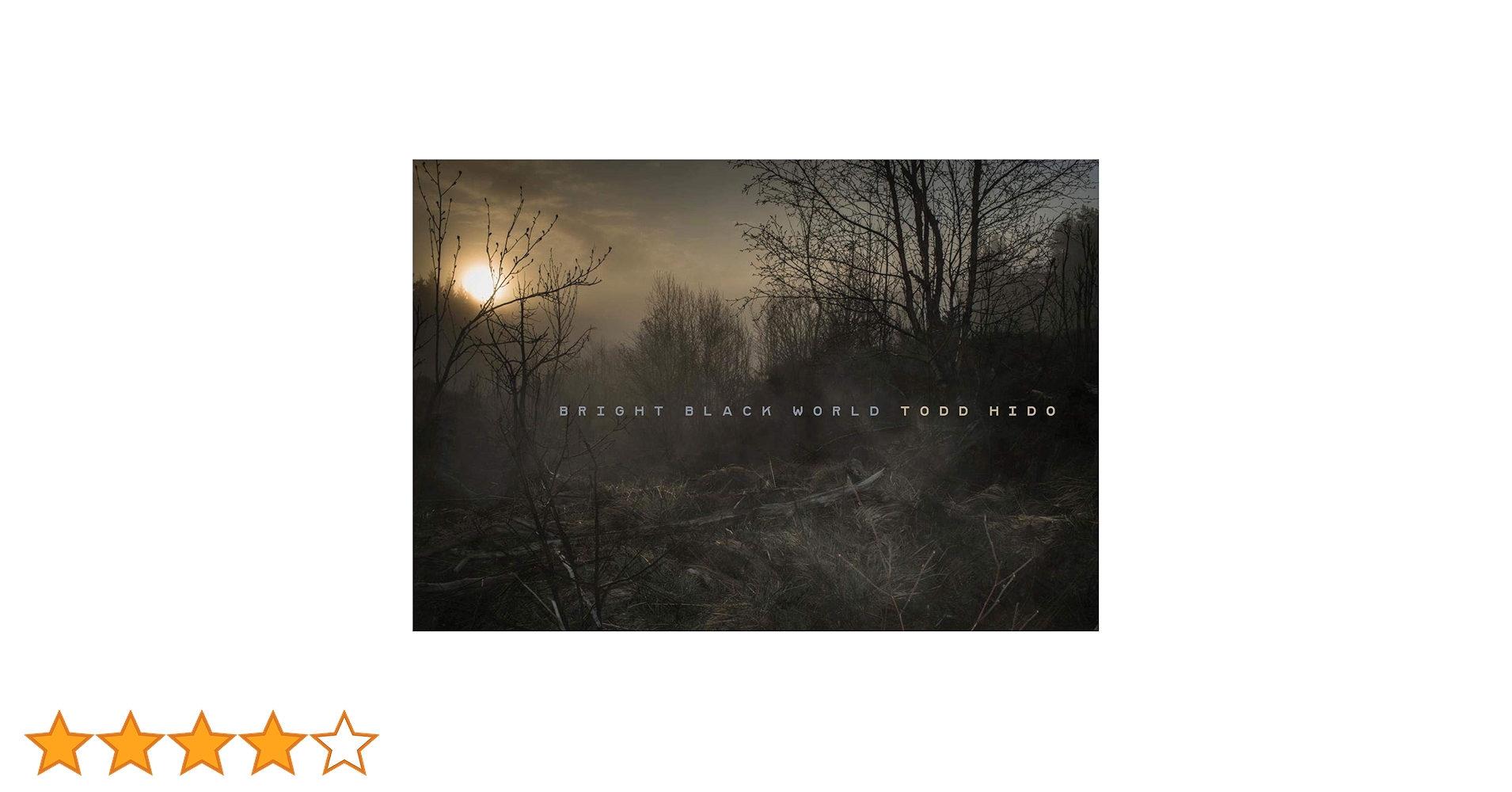 （初版・サイン本） Todd Hido / Bright Black World Todd Hido Bright Black World /anglais: HIDO TODD
