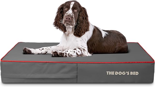 The Dogs Bed Orthopaedic Dog Bed Large Grey with Red Trim, Waterproof Memory Foam Dog Bed