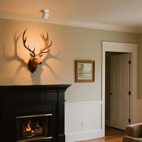 Miniatura 10 de Aisilan MSD-52 - Luz LED de techo