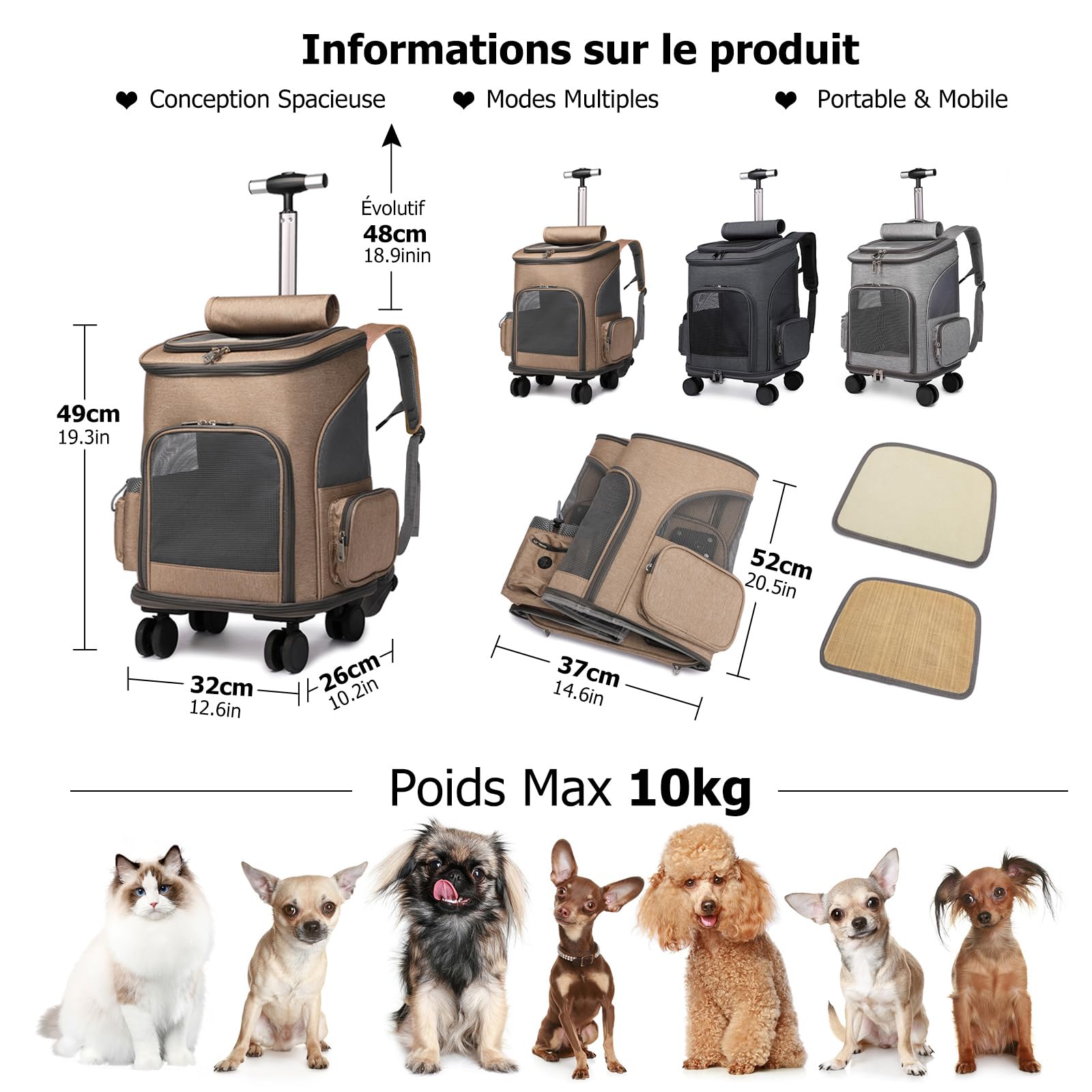 PETCUTE Sac à Dos à roulettes pour Chats Jusqu'à 10kg, Sac à Dos de Transport pour Chien avec Poignée Télescopique,Caisse Transport Chat avec Matelas en Peluche,pour Le Voyage, la Randonnée,Kaki