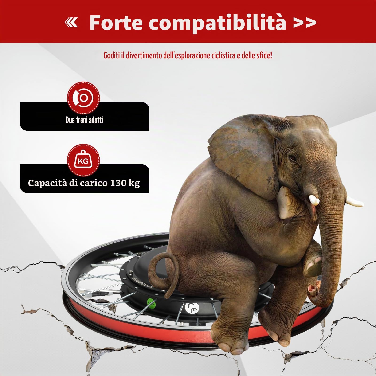 Kit di conversione per biciclette elettriche 48 V 1000 W 20 pollici, kit di conversione per bicicletta con display LED e acceleratore a pulsante, cerchio in lega leggera con freno a disco e freno a V