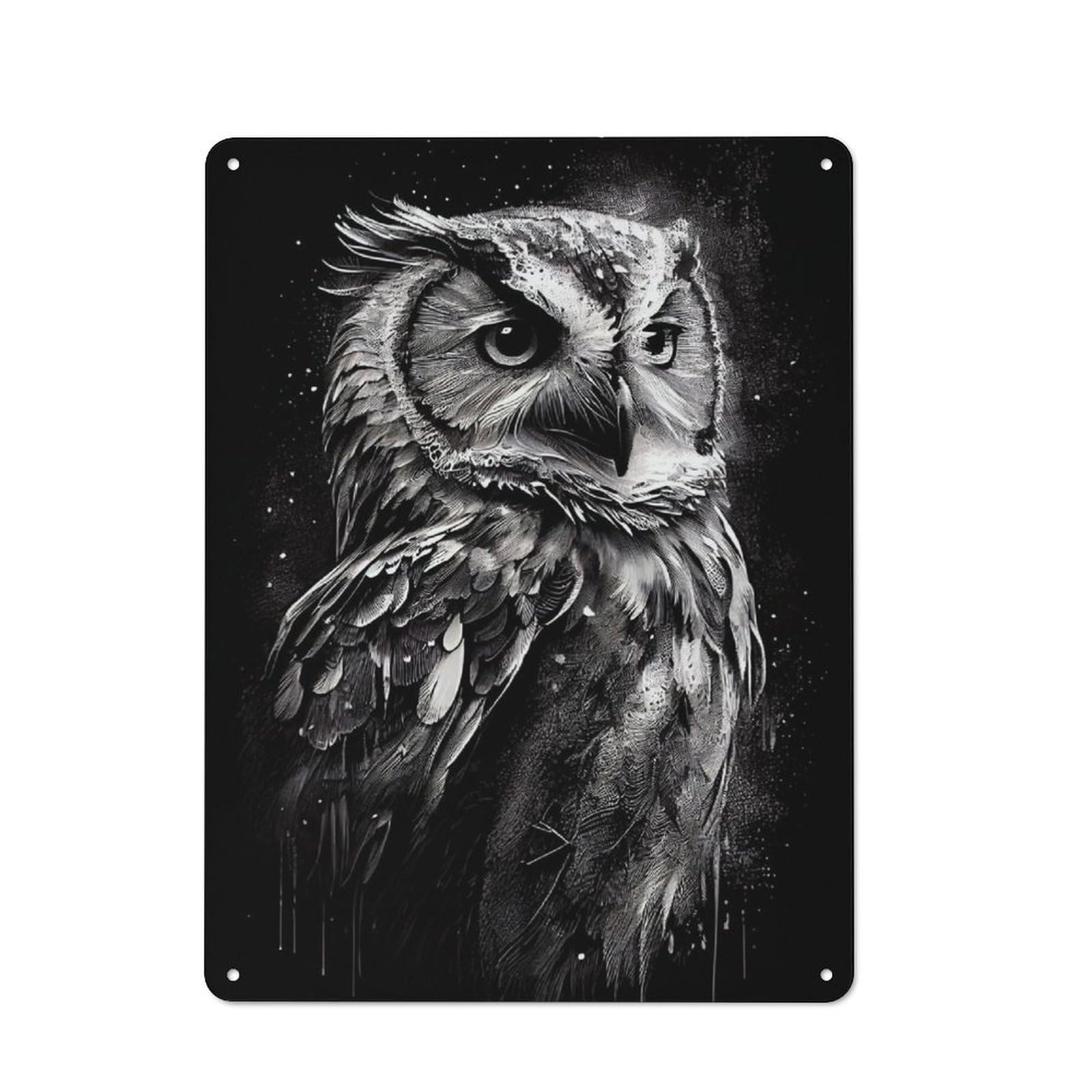 Junmoney Owl Drawn Printed Metal Sign 40X30cm For Lounge Or Reading Corner, Suited To Lounge Decor Fans