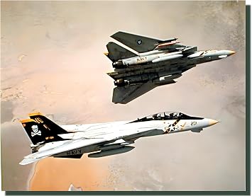 Impact Posters Gallery Aircraft Wall Decor F-14 Tomcat Airplane Aviation Jet Airplane Pictures Art Print Poster 16x20