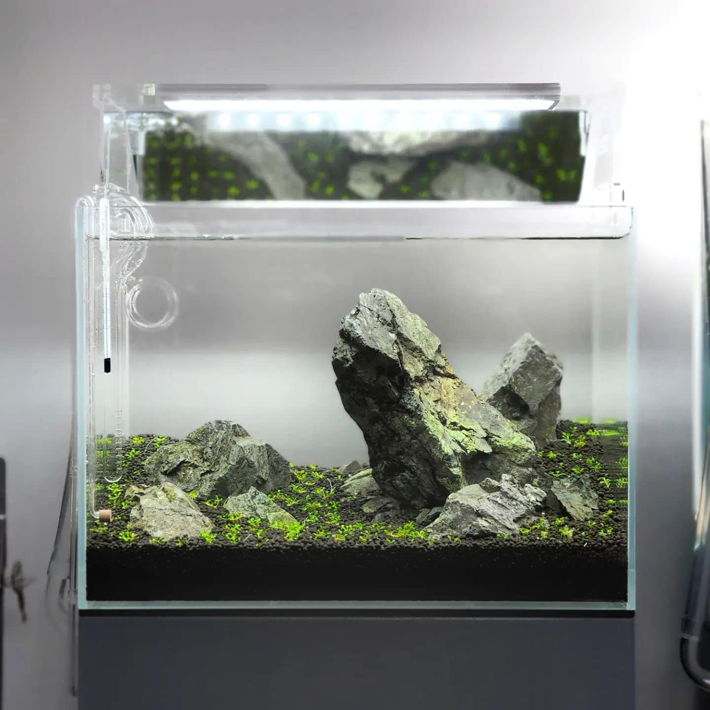 SubstrateSource Natural Stone for Aquarium, Terrarium, Paludarium, Reptile Enclosures - Set of Decorative Rocks for Landcapes, Aquascaping, Fish Tank Decor (Manten Stone, 10 Pounds, 2-6")