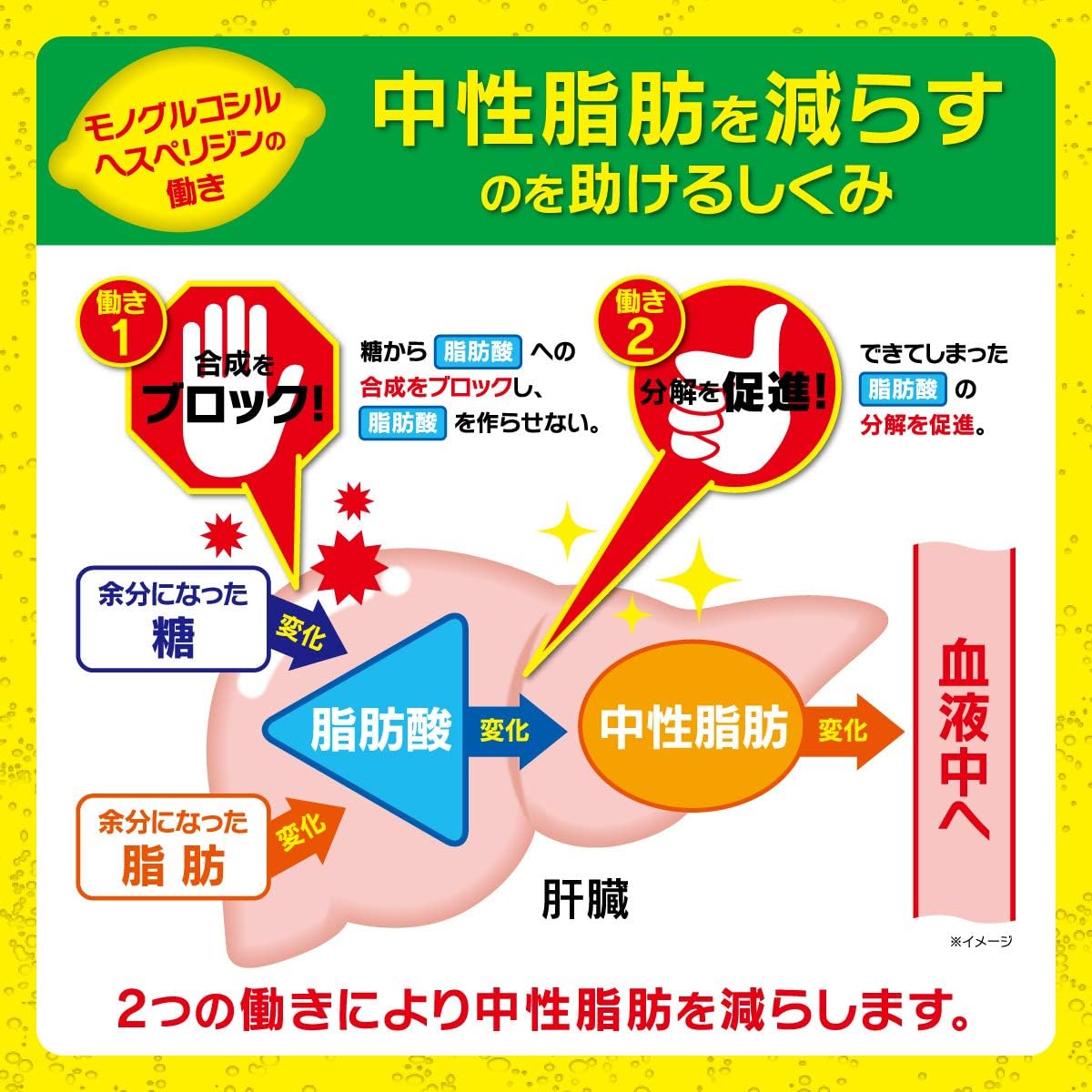 97 以上節約 特保 スタイリースパークリング レモン Pet500ml 48 伊藤園 2ケース 柑橘ポリフェノールが血中中性脂肪を減らす 北海道 沖縄は別途送料が加算されます Dprd Jatimprov Go Id