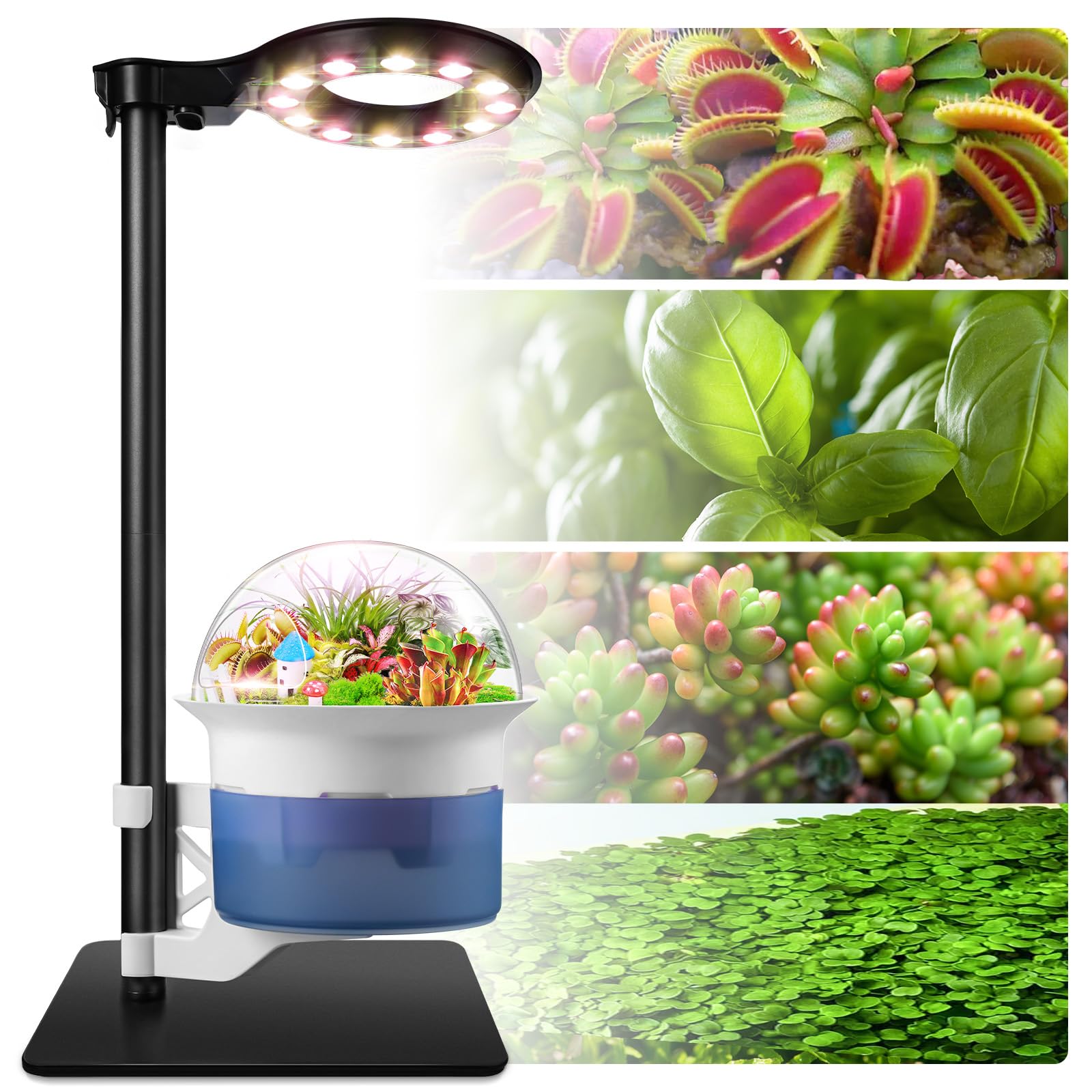Smart Venus Fly Trap Terrarium Kit with Grow Light Timer & Metal Stand, African Violet Pots Self Watering Planter for Cactus,Herbs,Carnivorous Plants, Christmas Birthday Gifts for Women Garden Lover