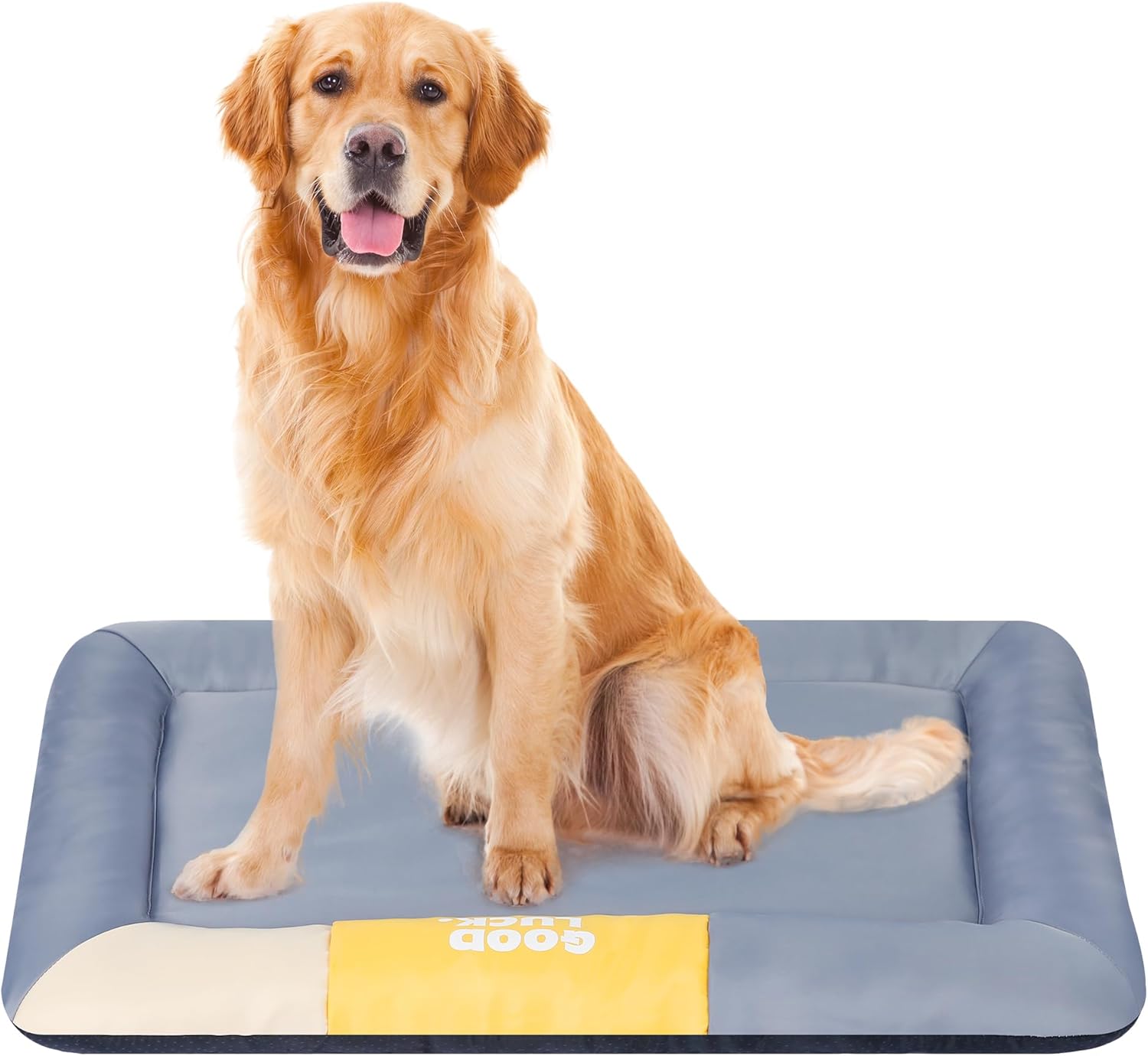 All-Season Orthopedic Memory Foam Cat & Dog Bed – Waterproof, Washable Pet Bed for Comfortable Support, Year-Round Use (Small)