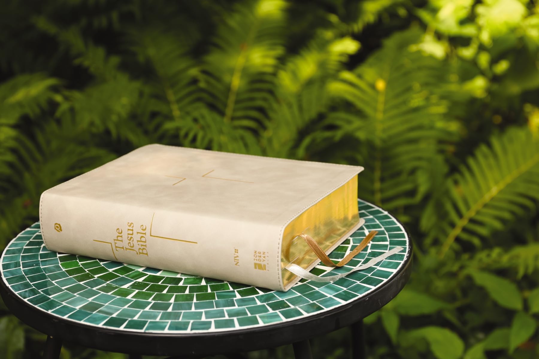 The Jesus Bible: Niv Edition, Stone, Comfort Print
