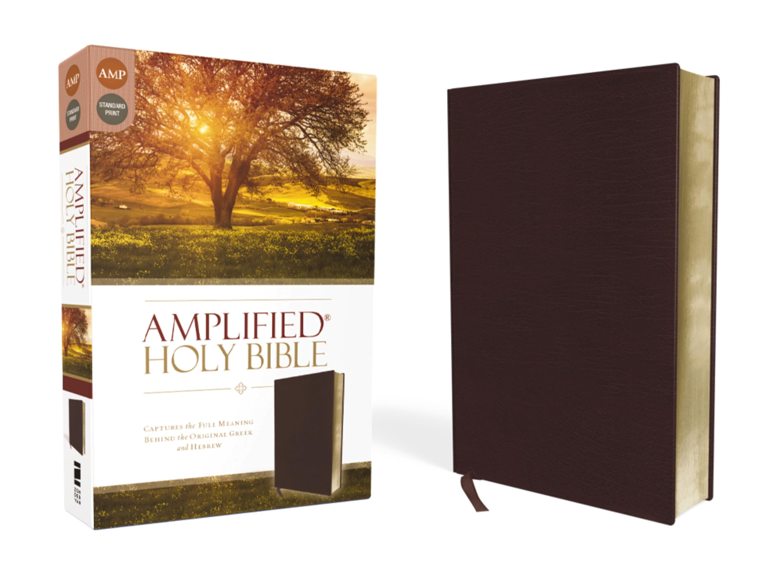 Amplified Holy Bible, Bonded Leather, Burgundy by  Zondervan ... - 9780310443940