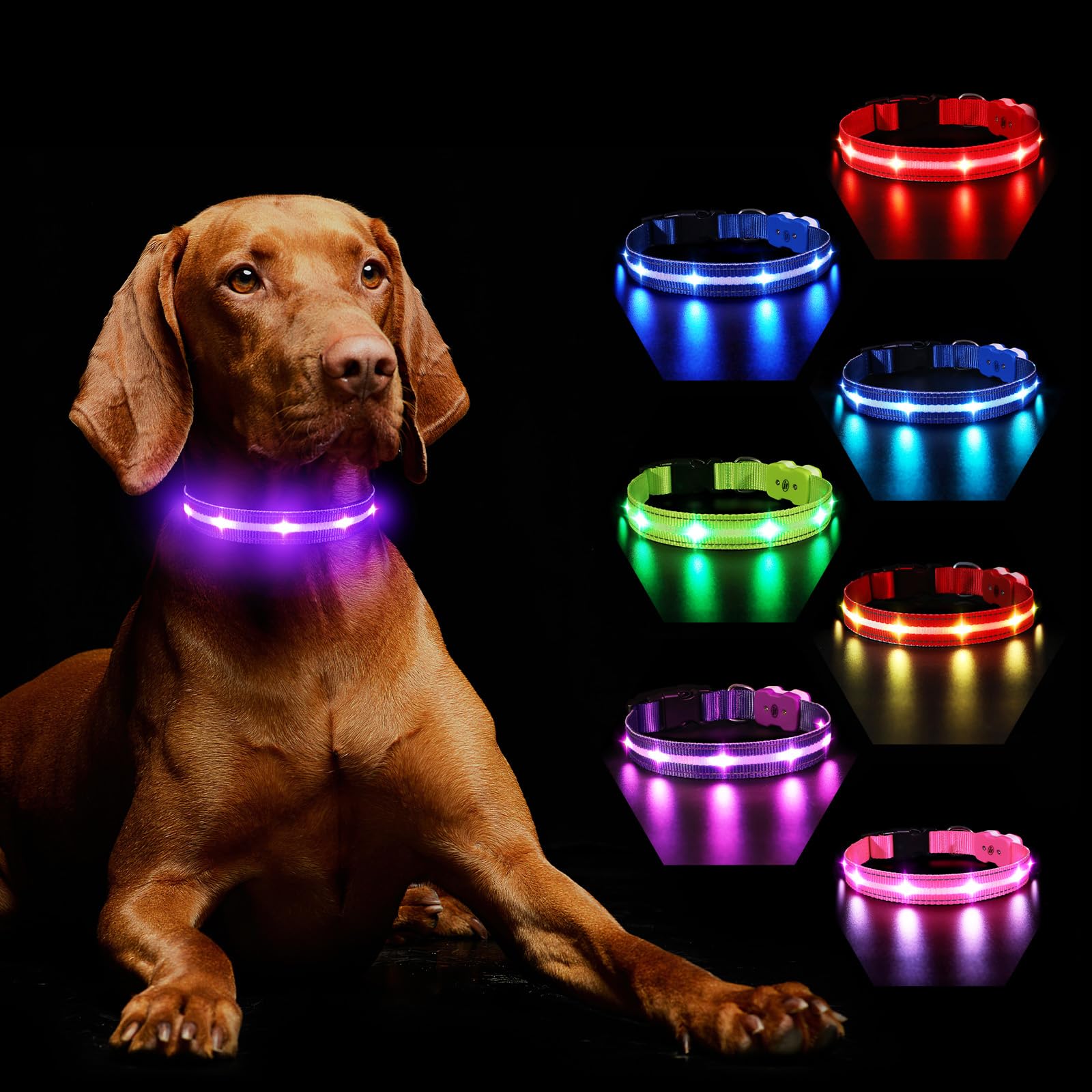 MASBRILL Lichtgevende hondenhalsband, oplaadbaar, voor in het donker, 7 kleuren, 8 knippermodi, verstelbaar, waterdicht, halsband met ledverlichting voor grote, middelgrote en kleine honden, paars, M - M(38-50CM) - Paars