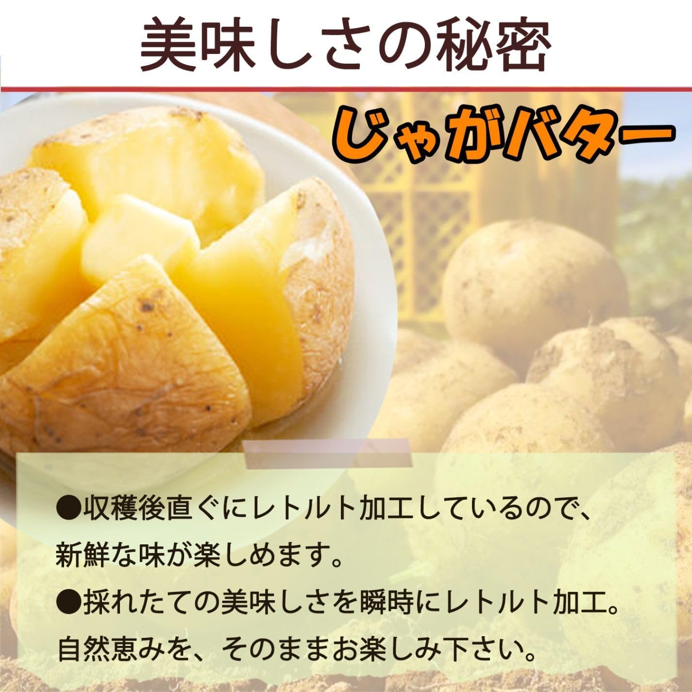 Amazon.co.jp: じゃがバター 北海道 じゃがいも レトルト そのまま食べ