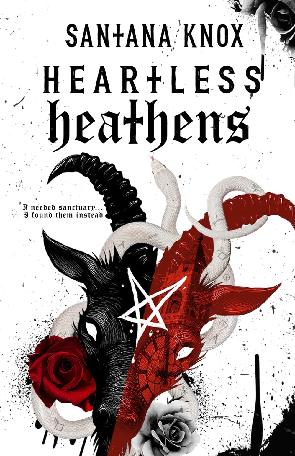 Heartless Heathens: A Why Choose Gothic Romance