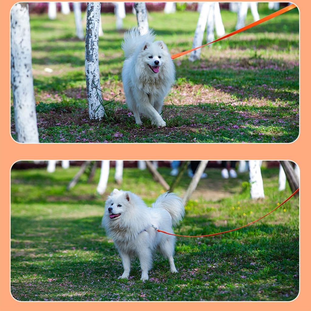 Correa de perro para perros pequeños, medianos y grandes, arneses de paseo de tamaño largo