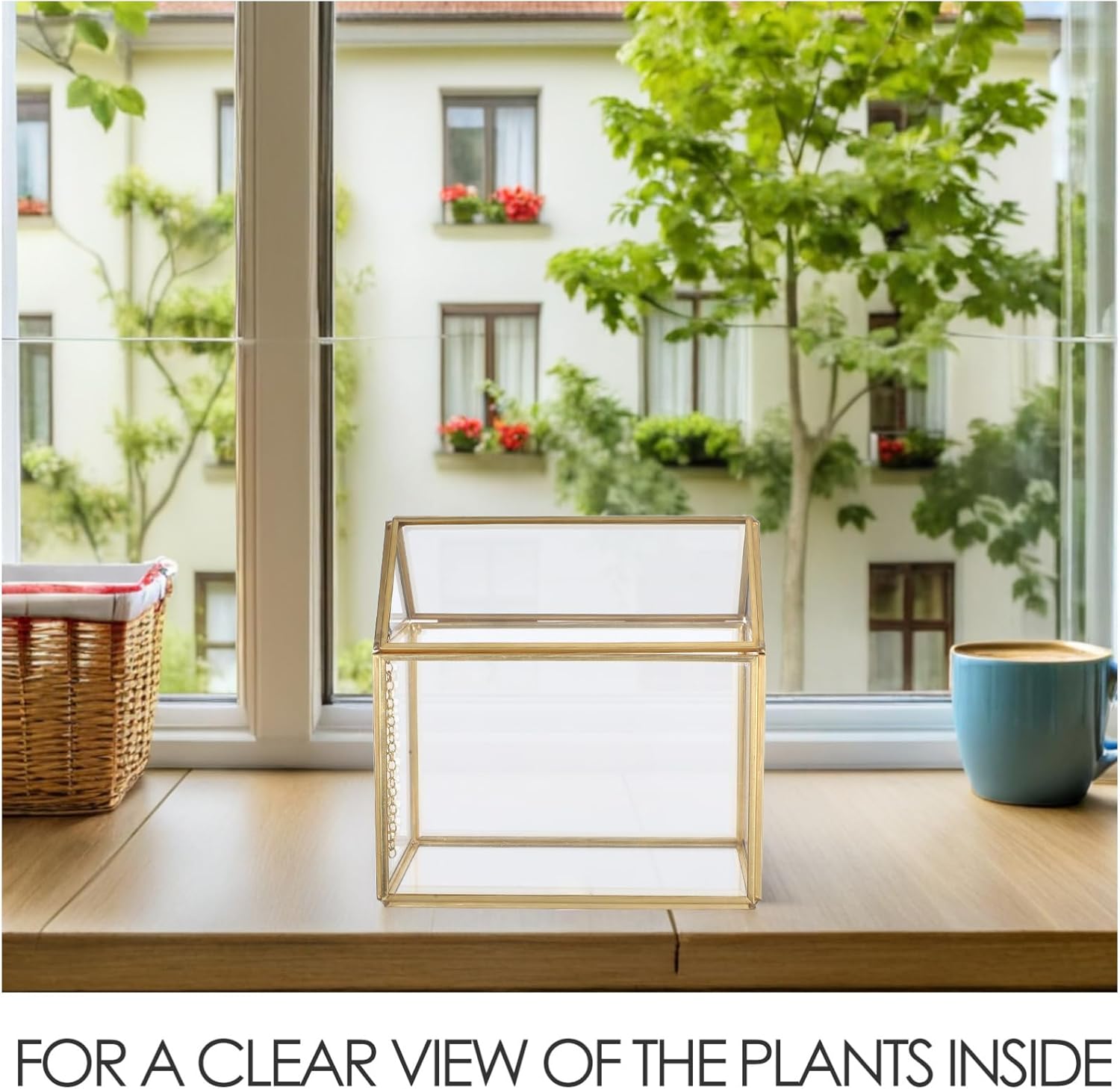 VALICLUD Unique House Shaped Indoor Greenhouse for Succulent Display Sturdy Tabletop Decor for Home for Birthdays and Anniversaries Showcases Microlandscape Details