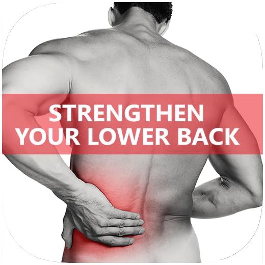A+ How To Strengthen Lower Back - Exercise & Relieve Pain
