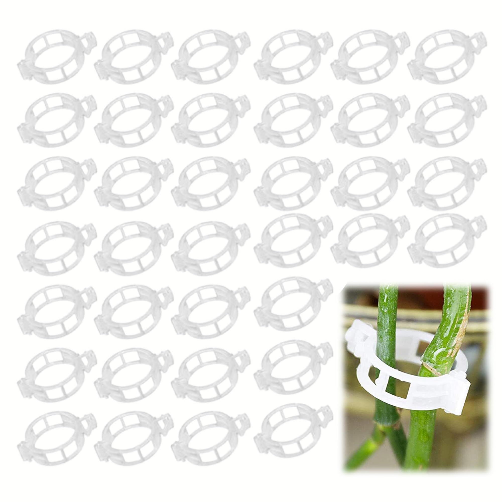 KINGLAKE 200 stuks tuinplantclips, plantensteunclips
