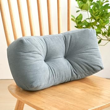 Everlasting Comfort Back Lumbar Support Cushion for Office Chair Napping Pillow for Back Pain Bolster Cushion for Long Sitting, Driving, Versatile Pillow