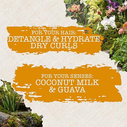 Miniatura 10 de Maui Moisture Nourish & Moisture + Champú de leche de coco + acondicionador para hidratar y desenredar el cabello rizado, champú hidratante diario
