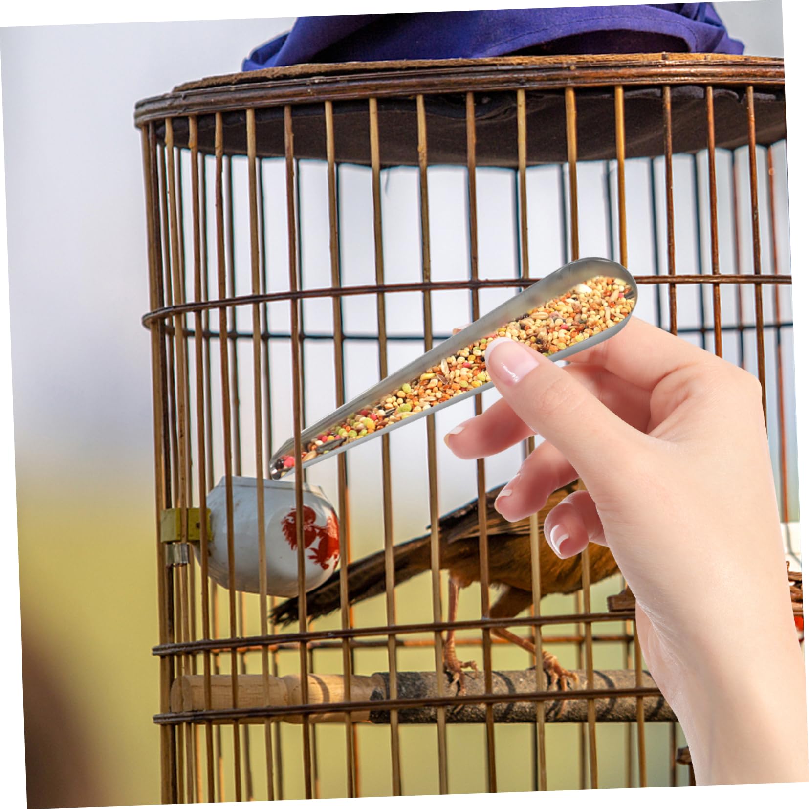 Gatuida 12pezzi Cucchiai Inossidabile per Nutrizione e Pollame Mangiatoie Impermeabili Galline e Piccioni Facili e Utilizzare